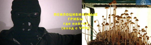гидропоника Алзамай