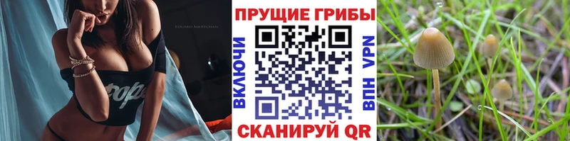 Галлюциногенные грибы GOLDEN TEACHER  Миньяр 